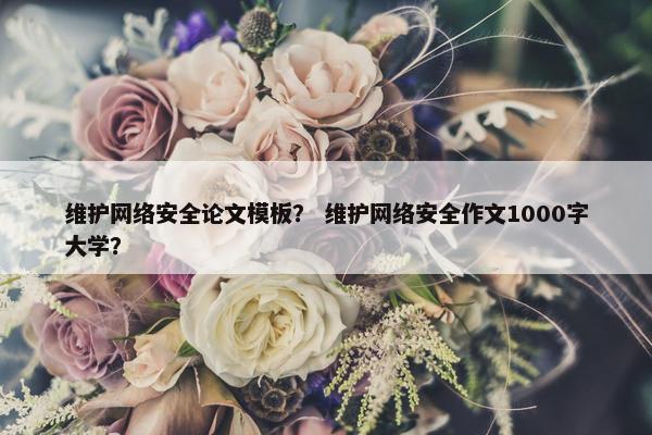 维护网络安全论文模板？ 维护网络安全作文1000字大学？