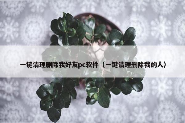 一键清理删除我好友pc软件（一键清理删除我的人）
