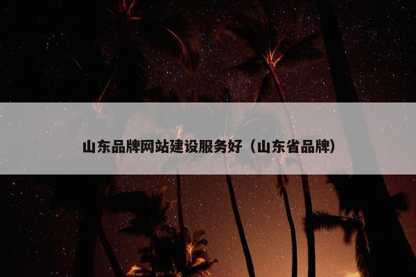 山东品牌网站建设服务好（山东省品牌）
