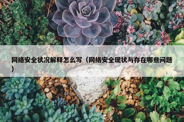 网络安全状况解释怎么写（网络安全现状与存在哪些问题）