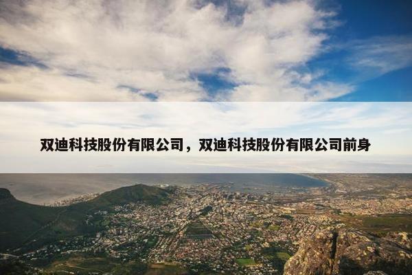 双迪科技股份有限公司，双迪科技股份有限公司前身