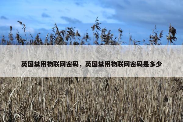 英国禁用物联网密码，英国禁用物联网密码是多少