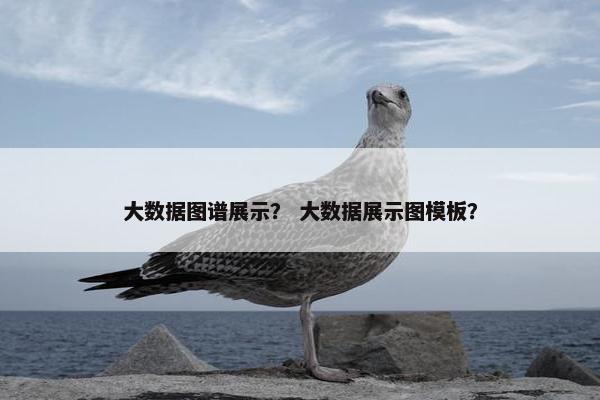 大数据图谱展示？ 大数据展示图模板？