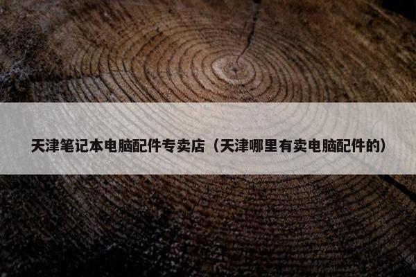 天津笔记本电脑配件专卖店（天津哪里有卖电脑配件的）