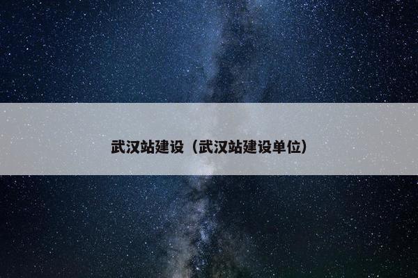 武汉站建设（武汉站建设单位）