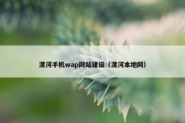 漯河手机wap网站建设（漯河本地网）