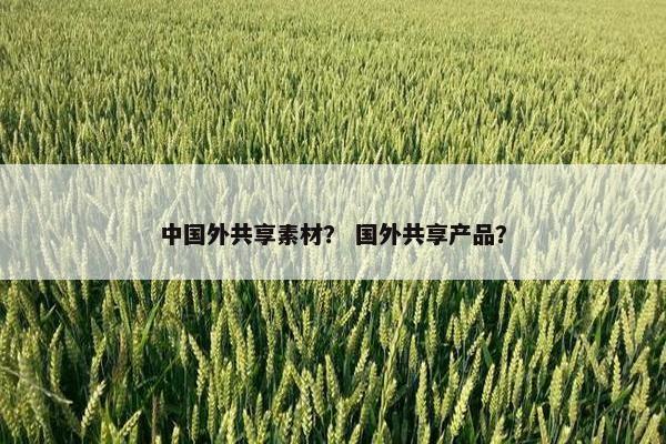 中国外共享素材？ 国外共享产品？