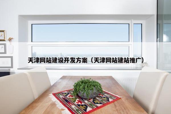 天津网站建设开发方案（天津网站建站推广）
