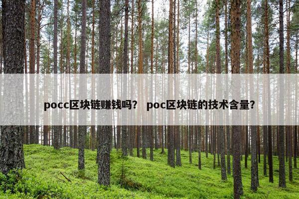 pocc区块链赚钱吗？ poc区块链的技术含量？