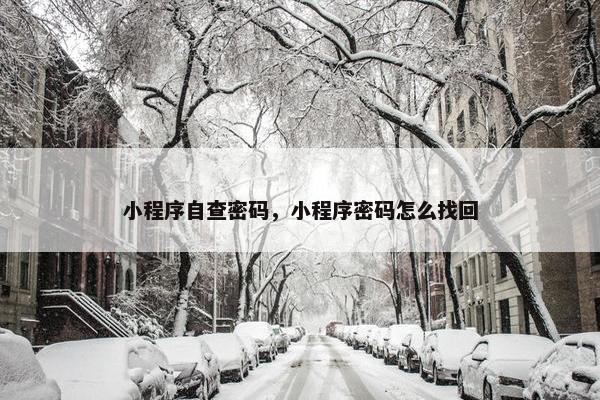 小程序自查密码，小程序密码怎么找回