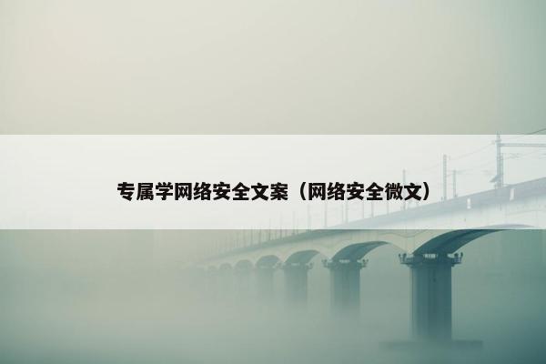 专属学网络安全文案（网络安全微文）