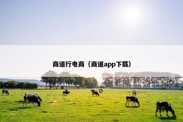 商道行电商（商道app下载）