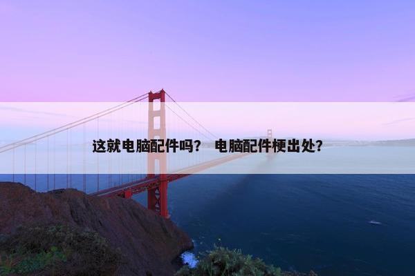 这就电脑配件吗？ 电脑配件梗出处？