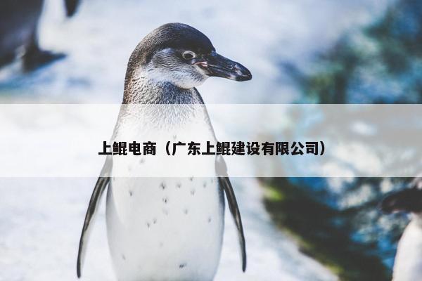 上鲲电商（广东上鲲建设有限公司）