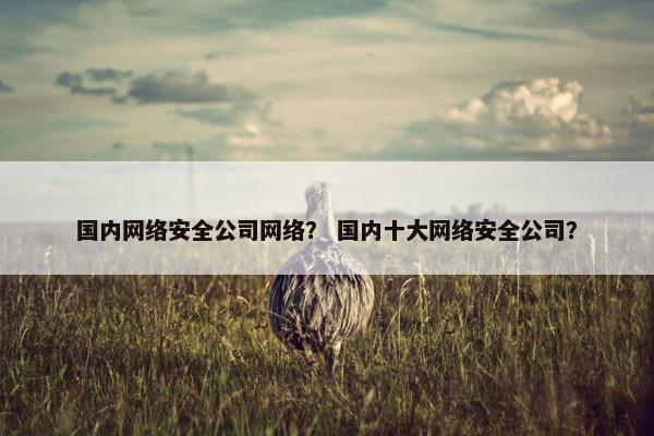 国内网络安全公司网络？ 国内十大网络安全公司？