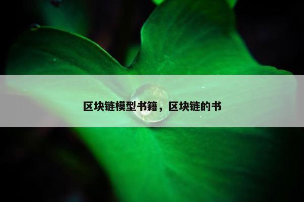 区块链模型书籍，区块链的书