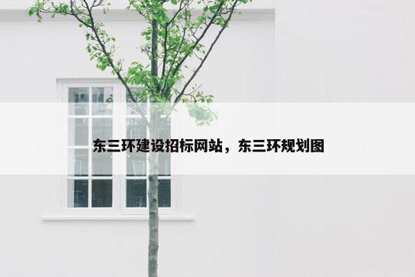 东三环建设招标网站，东三环规划图