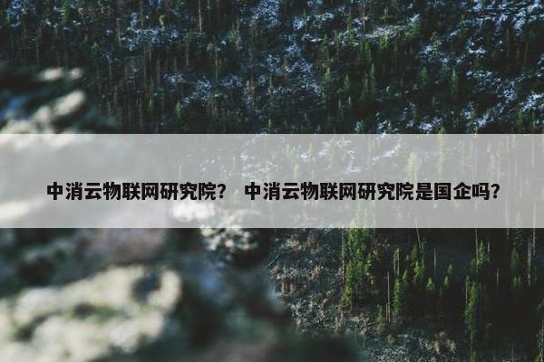 中消云物联网研究院？ 中消云物联网研究院是国企吗？