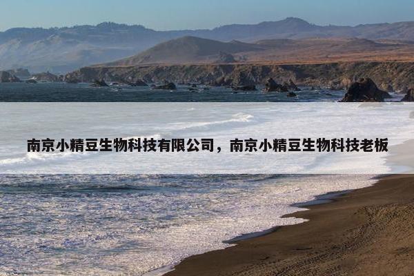 南京小精豆生物科技有限公司，南京小精豆生物科技老板