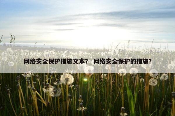 网络安全保护措施文本？ 网络安全保护的措施？