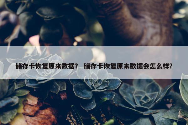 储存卡恢复原来数据？ 储存卡恢复原来数据会怎么样？