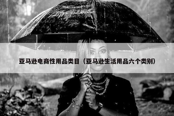 亚马逊电商性用品类目（亚马逊生活用品六个类别）
