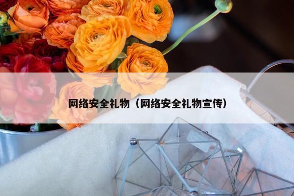 网络安全礼物（网络安全礼物宣传）