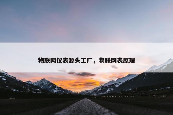 物联网仪表源头工厂，物联网表原理