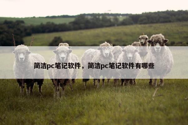 简洁pc笔记软件，简洁pc笔记软件有哪些