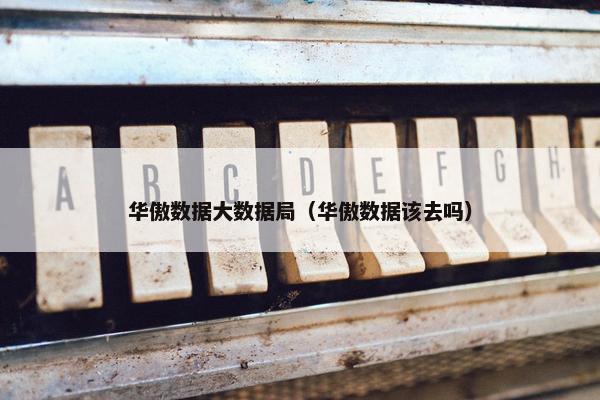 华傲数据大数据局（华傲数据该去吗）