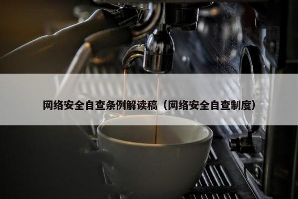 网络安全自查条例解读稿（网络安全自查制度）