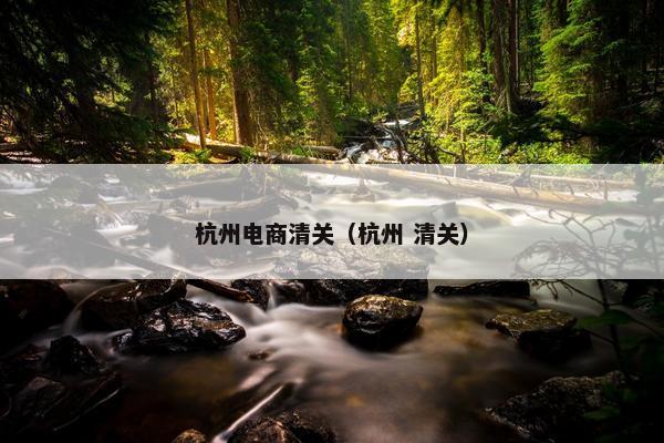 杭州电商清关（杭州 清关）