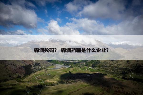 霖润数码？ 霖润药辅是什么企业？