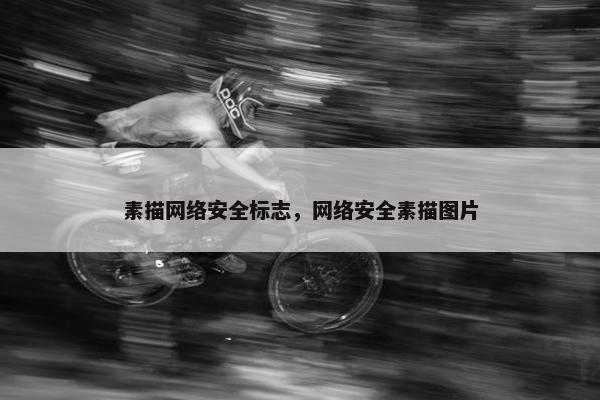 素描网络安全标志，网络安全素描图片
