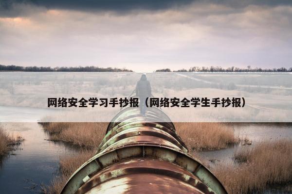 网络安全学习手抄报（网络安全学生手抄报）
