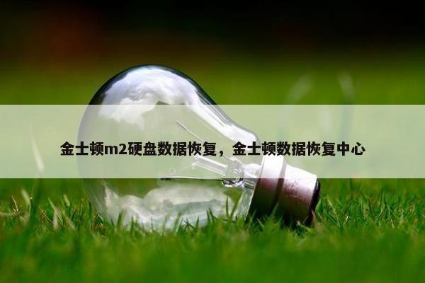 金士顿m2硬盘数据恢复，金士顿数据恢复中心