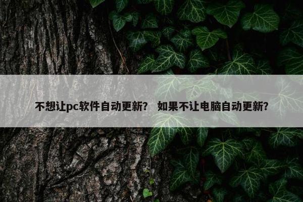 不想让pc软件自动更新？ 如果不让电脑自动更新？