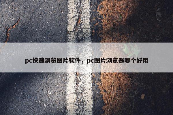 pc快速浏览图片软件，pc图片浏览器哪个好用