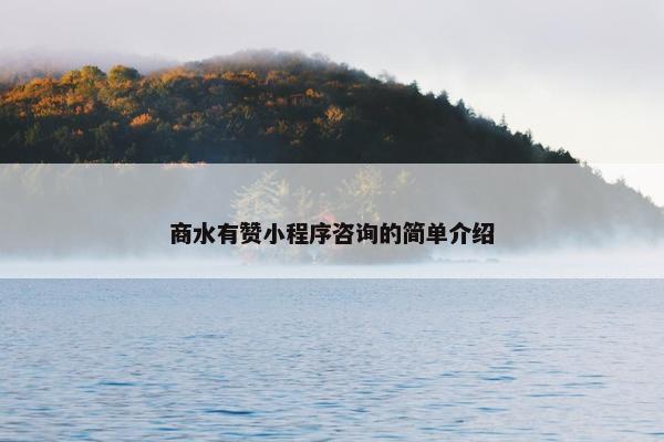 商水有赞小程序咨询的简单介绍