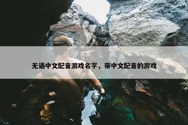 无语中文配音游戏名字，带中文配音的游戏