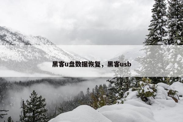 黑客u盘数据恢复，黑客usb
