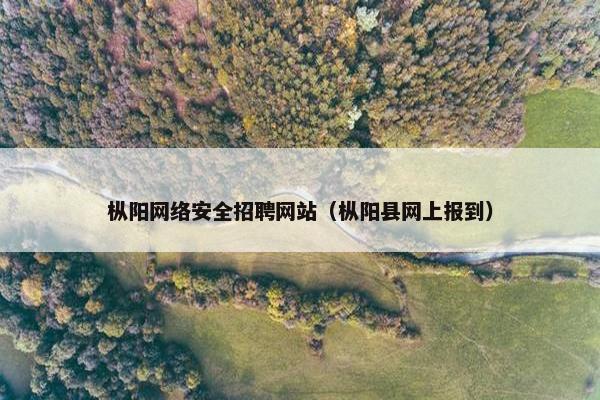 枞阳网络安全招聘网站（枞阳县网上报到）