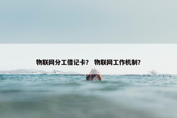 物联网分工借记卡？ 物联网工作机制？