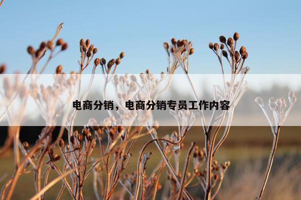 电商分销，电商分销专员工作内容