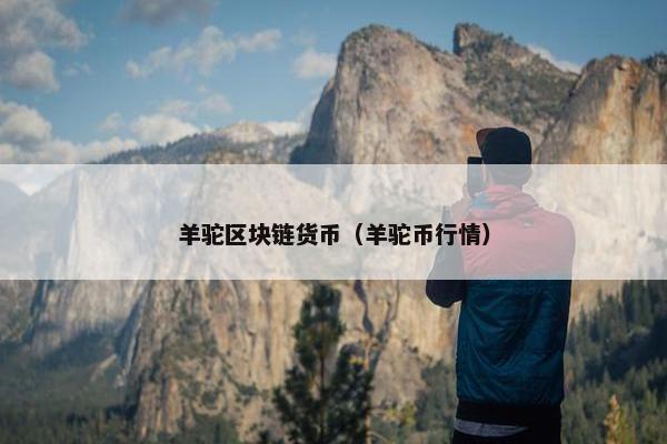 羊驼区块链货币（羊驼币行情）