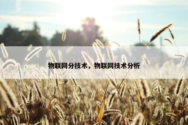 物联网分技术，物联网技术分析