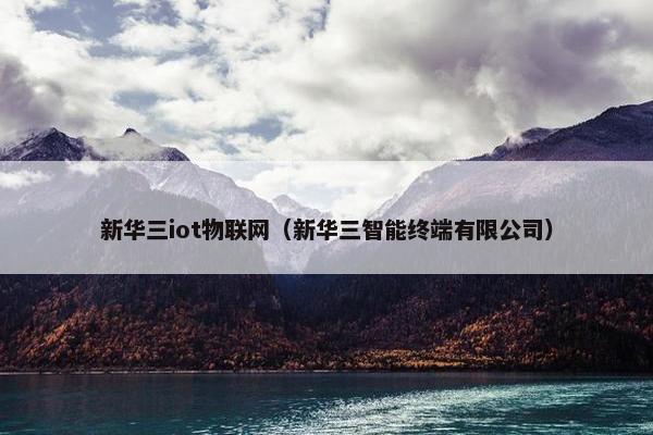 新华三iot物联网（新华三智能终端有限公司）