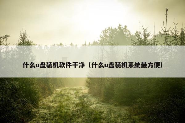 什么u盘装机软件干净（什么u盘装机系统最方便）