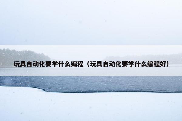 玩具自动化要学什么编程（玩具自动化要学什么编程好）