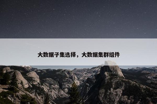 大数据子集选择，大数据集群组件